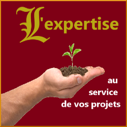 logo expertise crédit assurance